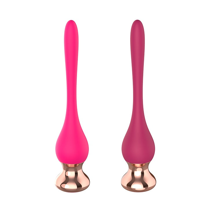 IMOON Clitoris & Anal Vibrator